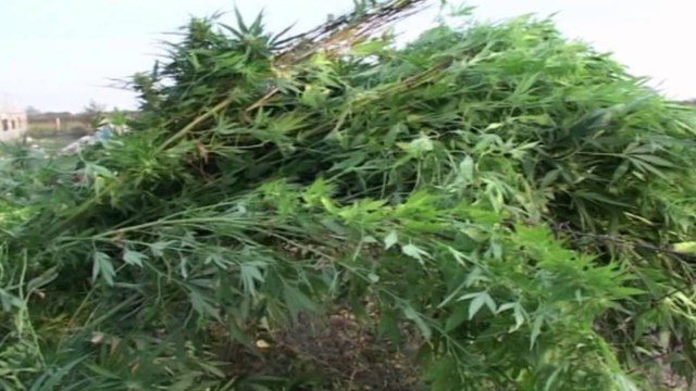 PD: RAMA E TAHIRI E KANE KTHYER SHQIPERINE NE REPUBLIKE TE DROGES