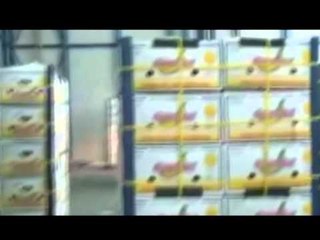 DROGE NGA SHQIPERIA POLICIA ITALIANE SHKATERRON  RRJETIN E TRAFIKUT LAJM