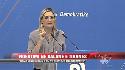 PD: Rama lejoi mikun e tij te dhunoje trashegimine - News, Lajme - Vizion Plus