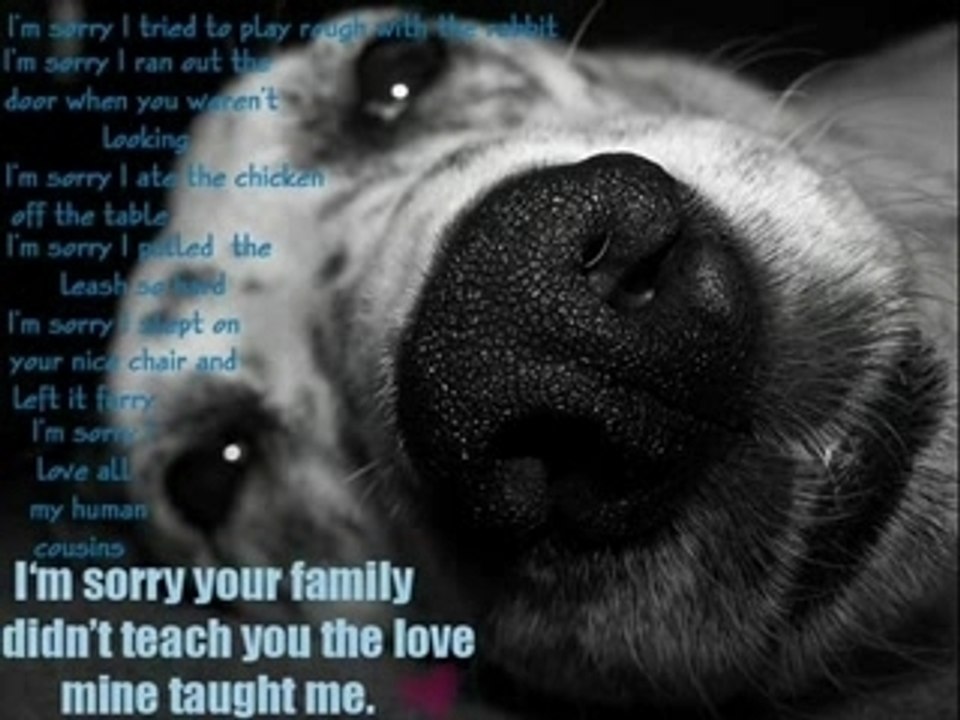 Sorry_again_lrg
