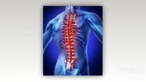Ortega Chiropractic Clinic – Highly Skilled Chiropractors in Jacksonville, FL
