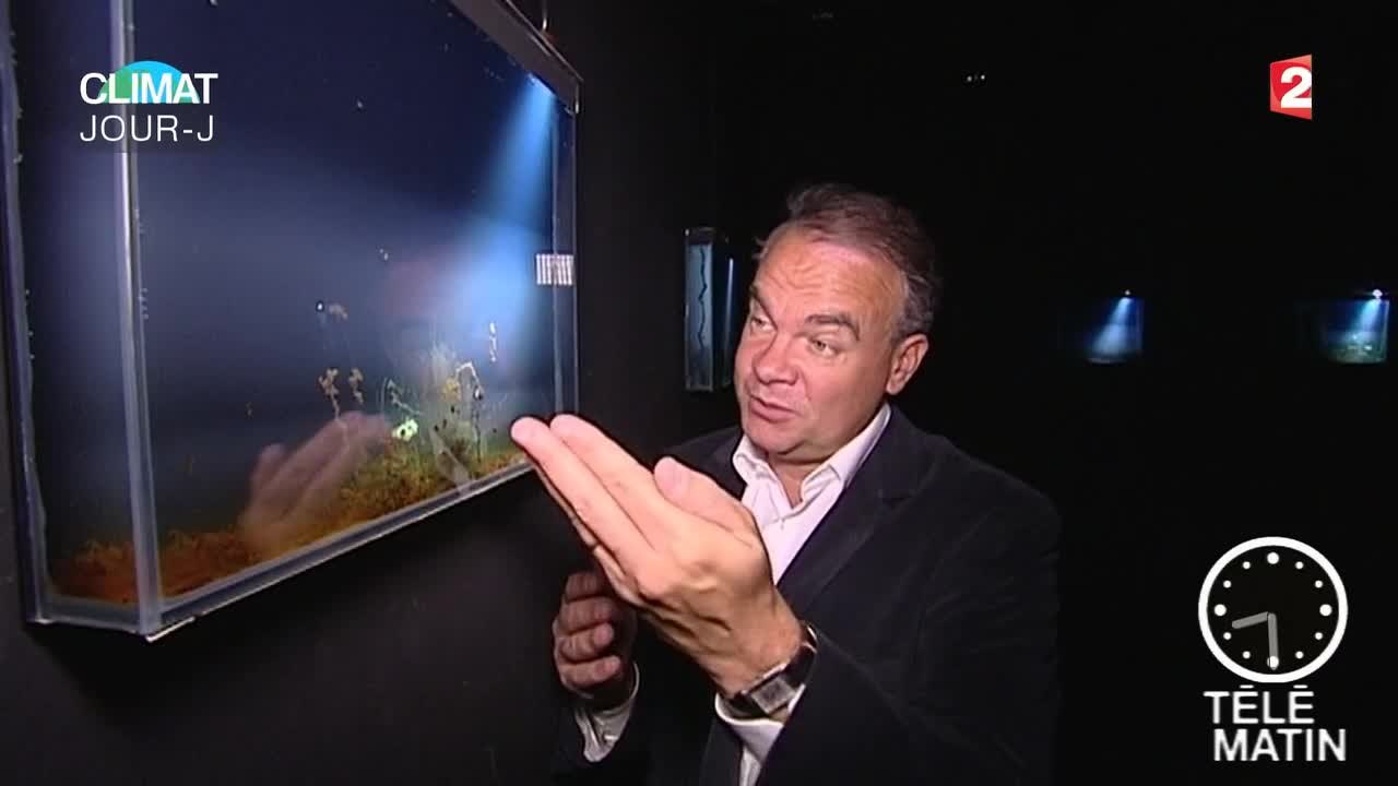 Visite guidée - Climats Artificiels à la Fondation EDF ! - 2015/11/30