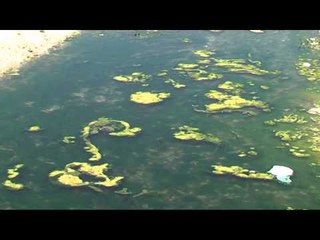 NDOTJA E LARTE,QYTETARET TE EVITOJNE LARJEN NE LUMIN E DRINOS E LIQENIN E VIROIT LAJM