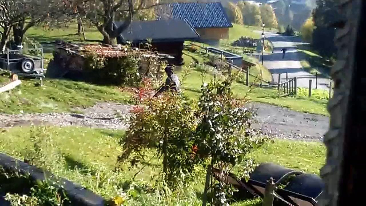 Vidéo témoin - 4ème