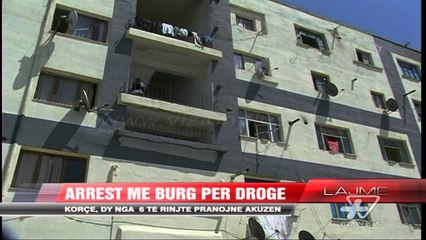 Shkodër, asgjësohen 1900 rrënjë hashash - News, Lajme - Vizion Plus