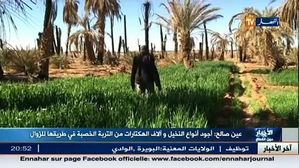 أجود أنواع النخيل وآلاف الهكتارات من التربة الخصبة في طريقها للزوال بعين صالح