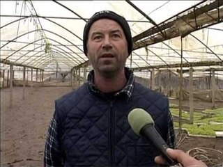 DEMET NGA PERMBYTJET BANORET  NE OBOT TE FRIKESUAR EDHE NGA NDOTJA LAJM