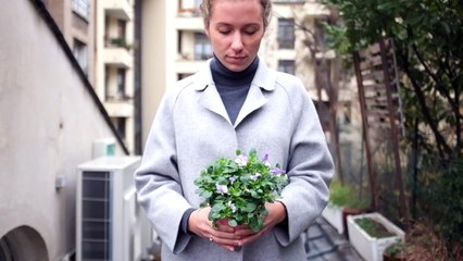 Lush - «Une pensée pour le climat» - novembre 2015