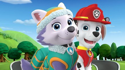 Cartoon Nick JR Movies 2015 - Hot Paw Patrol Full Episodes English._1