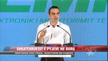 Shkatërruesit e pyjeve në burg - News, Lajme - Vizion Plus