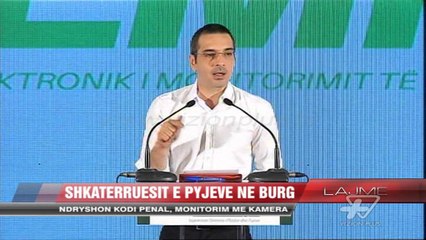 Shkatërruesit e pyjeve në burg - News, Lajme - Vizion Plus