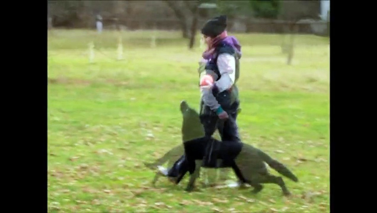 Chanel Filko Morava heeling 11/2015