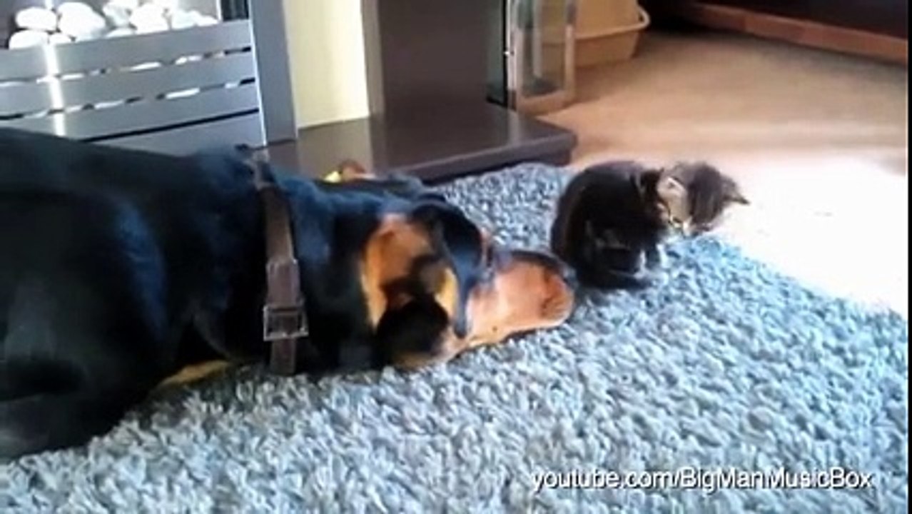 freindship