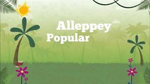 Alleppey Houseboats - A Perfect Honeymoon Destination