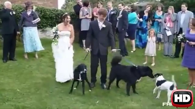 ПРИКОЛЫ НА СВАДЬБЕ 2015! ПОДБОРКА Свадебных Приколов NEW! СВАДЕБНЫЙ ЕРАЛАШ-1!!!