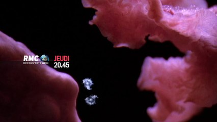 20H45 - Jeudi 3 Décembre - Miracles In Utero