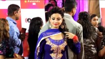 &TV HOST THE RED CARPET AT THE 14TH INDIAN TELLY AWARDS