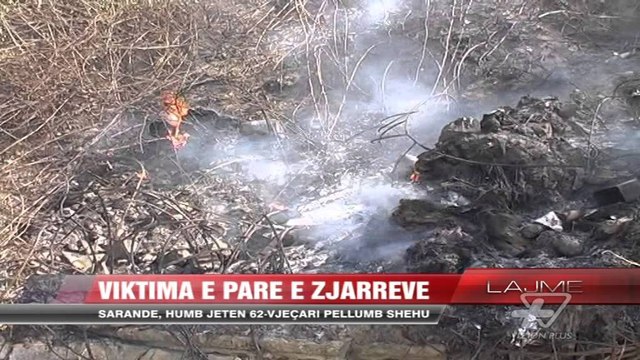 Viktima e parë e zjarreve - News, Lajme - Vizion Plus
