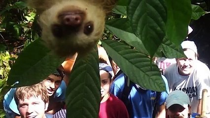 Animal Photobombs That Will Make Your Day Better