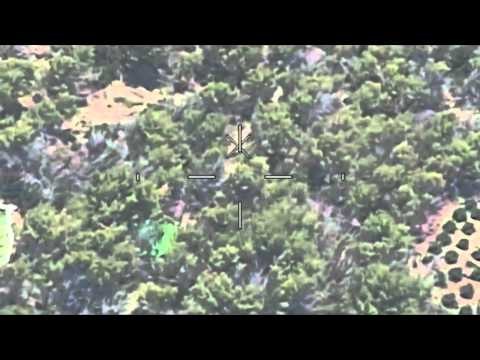 ASGJESOHEN QINDRA RRENJE KANABIS NE VLORE,SHKODER E LUSHNJE,DISA TE ARRESTUAR LAJM