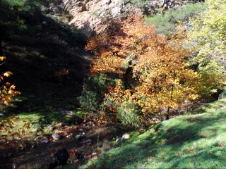 dereköy cumalı 2015