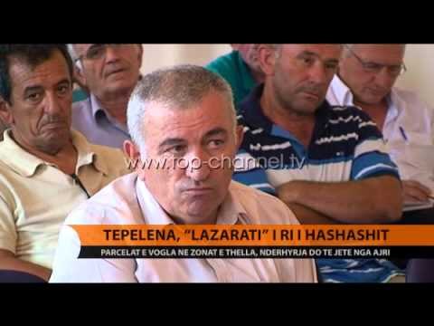 Pas Lazaratit, hashashi zhvendoset në zonat e Tepelenës - Top Channel Albania - News - Lajme