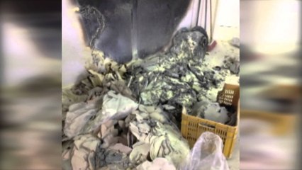 TENTATIVE PER DJEGIEN E FABRIKES