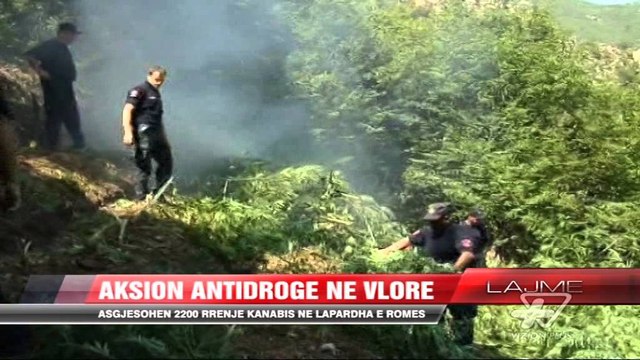 Aksion antidrogë në Vlorë - News, Lajme - Vizion Plus