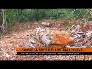 Kamerat, shpëtimi i vetëm i pyjeve - Top Channel Albania - News - Lajme