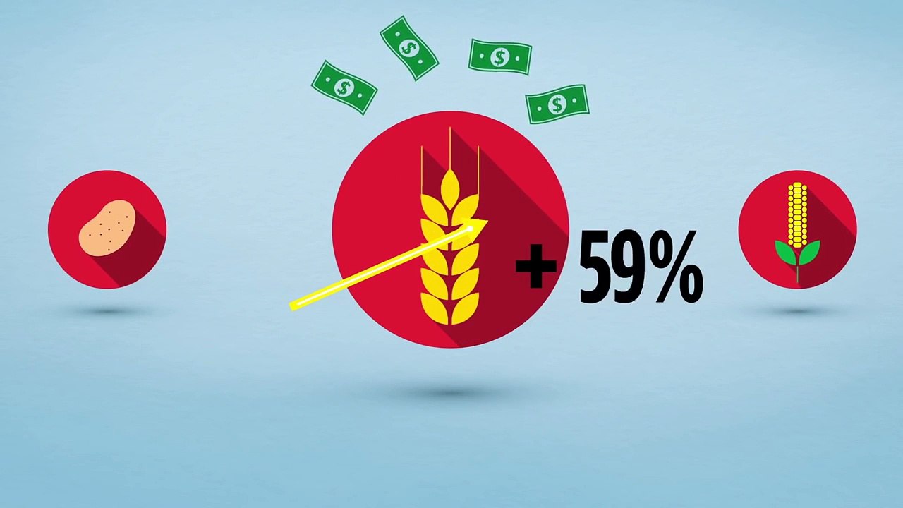 W pour CCFD-Terre solidaire - «Victimes du climat» - novembre 2015