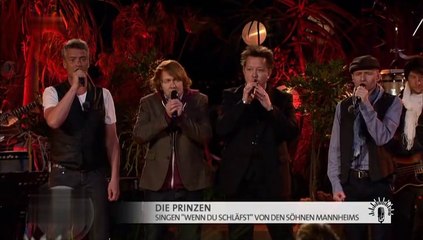 Die Prinzen - Wenn du schläfst 2015