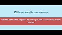 Company Names Fuzzy Matching Tool