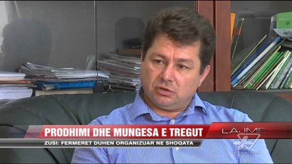 Zusi: Fermerët duhen organizuar në shoqata - News, Lajme - Vizion Plus