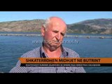 Shkatërrohen midhjet në Butrint - Top Channel Albania - News - Lajme