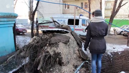 Giant tree falls and crushes a parked car in Russia