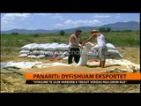 Panariti: Dyfishuam eksportet - Top Channel Albania - News - Lajme