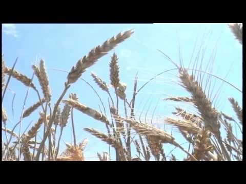 MINISTRI PANARITI PER EMBARGON RUSE,“NUK DO TE KETE NDIKIM NE EKONOMINE SHQIPTARE” LAJM