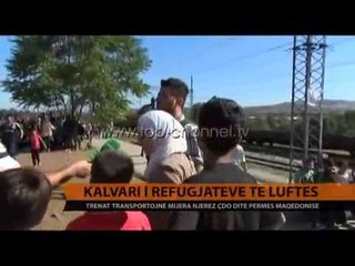 Download Video: Kalvari i refugjatëve të luftës - Top Channel Albania - News - Lajme