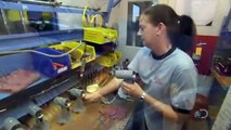 How Its Made 1049 Rivets and Rivet Tools