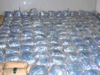 KAPET 1 TON MARIHUANE VINTE NGA LAZARATI,ARRESTOHEN 2 PERSONA LAJM