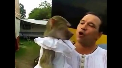 Crazy Animals Making Hilarious Funny Voice