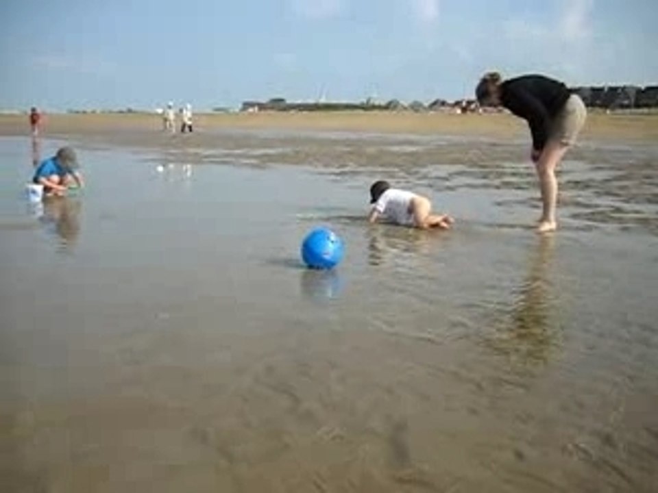 Barbotage