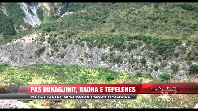 Pritet aksion antikanabis në Tepelenë - News, Lajme - Vizion Plus