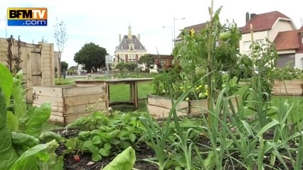 Le Nord, nouveau laboratoire du développement durable