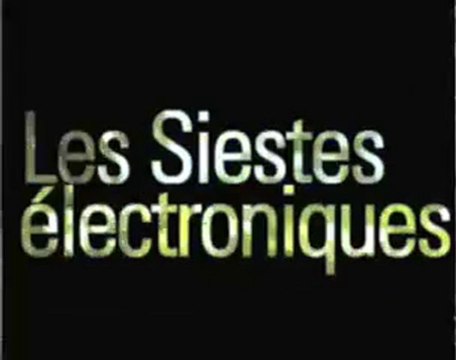 Siestes electroniques 2005