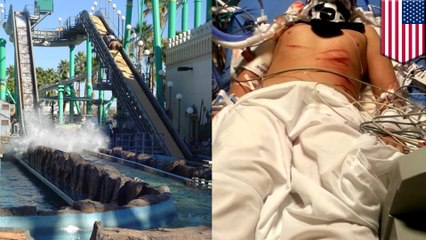 Theme park ride accident: Boy in coma after falling 30 feet from log ride
