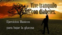 Diabetes 04 Ejercicios Basicos