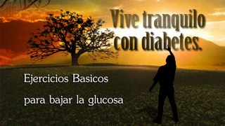 Diabetes 04 Ejercicios Basicos