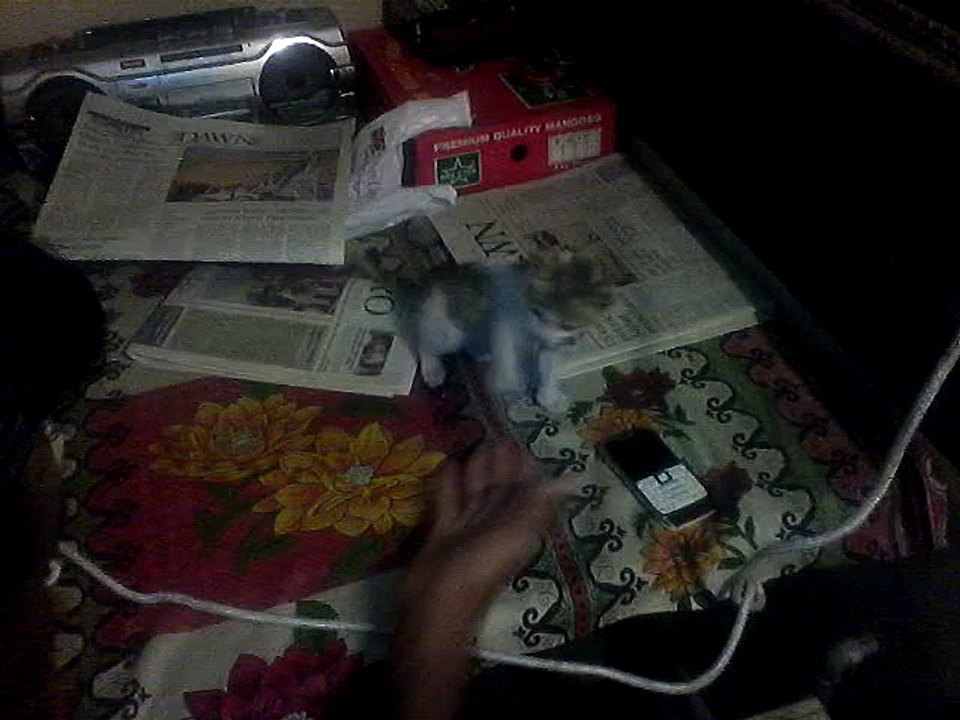 dlet