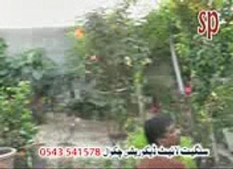 Allama Waseem Hussain Minhas Rabal Distt Chakwal (part 1)